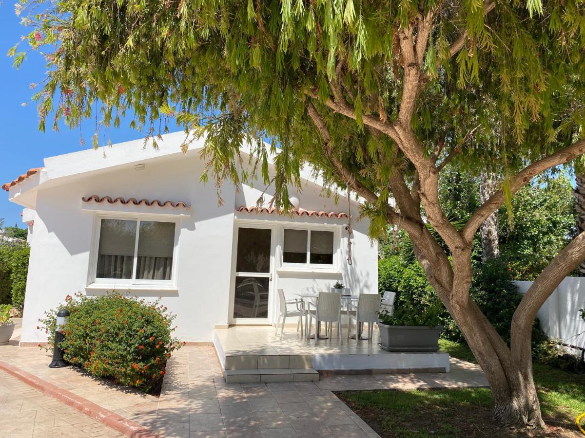 Fig Tree Z Holiday Resort Paralimni Exterior photo